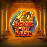 Thumbnail of the slot Book of Dead